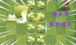 最新植物爆料,绿色奇迹与生命奥秘