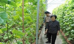夹江吃瓜最新事件爆料是真的吗,最新爆料真相揭秘