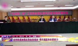 深圳龙岗新闻最新爆料,揭秘重大事件背后真相